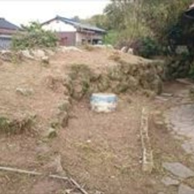 庭庭雑草のお手入れ