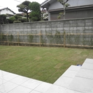 部屋から見た庭