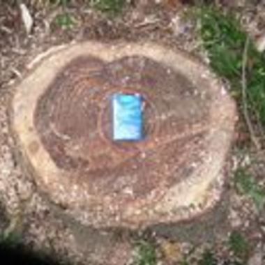 四街道市×庭木の伐採×安全でしっかりとした伐採作業の施工後写真(1枚目)