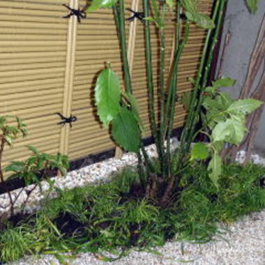 施工後の箱庭の植え込み