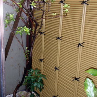 施工後の箱庭の竹垣