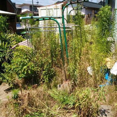知多市×草刈り×悩みを解決する作業の施工後写真（0枚目）