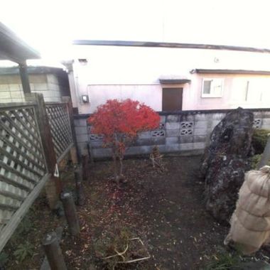 冬の庭支度 冬囲い