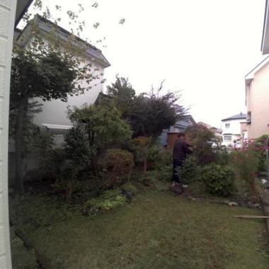 庭のお手入れ 除草作業