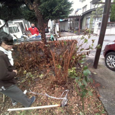 庭の冬支度 剪定・伐採 作業中
