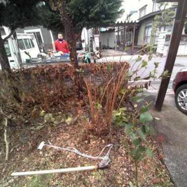 庭の冬支度 剪定・伐採