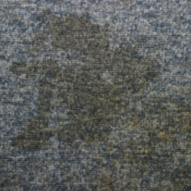 カーペットのクリーニング染み抜き前