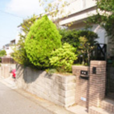 千葉市花見川区×剪定作業×ご自分では難しい作業もしっかり行う剪定作業の施工前写真（0枚目）