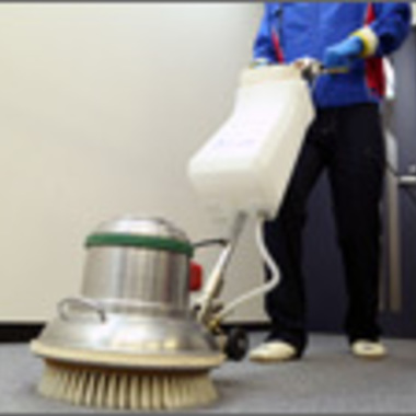 カーペット洗浄 ハウスダスト除去途中 3