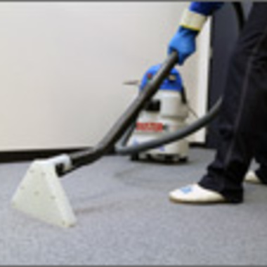 カーペット洗浄 ハウスダスト除去途中 4