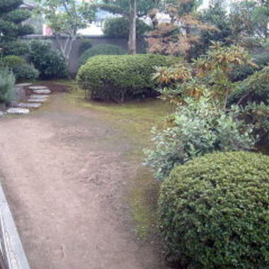 施工前の庭全体