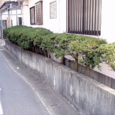 施工前の施工前の植え込み 住宅左横
