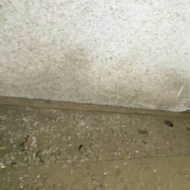 屋根裏床のアップ写真