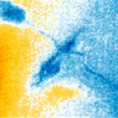雨漏り散水調査結果・サーモグラフィー調査 ファイバースコープ調査