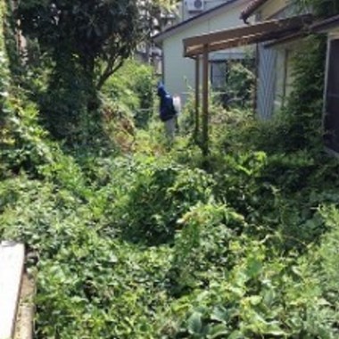 樹木伐採・草刈り前