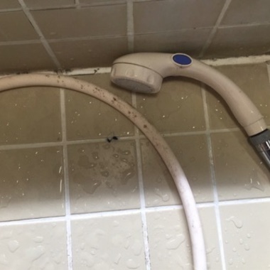 施工前 シャワー