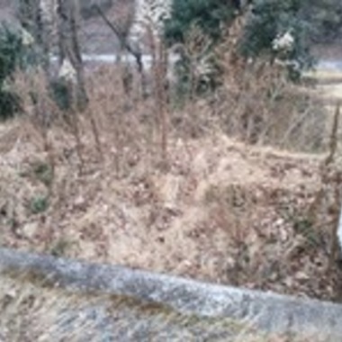 広島市安芸区✕エクステリアリフォーム✕庭を有効活用出来る工事の施工前写真（0枚目）