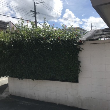 外壁工事の施工前写真（1枚目）