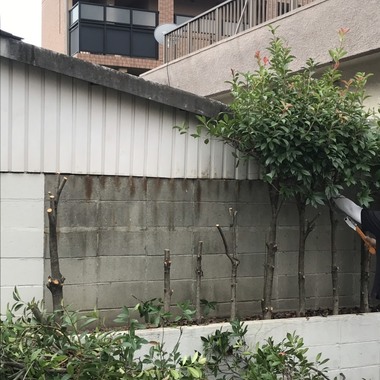 外壁工事の施工前写真（1枚目）