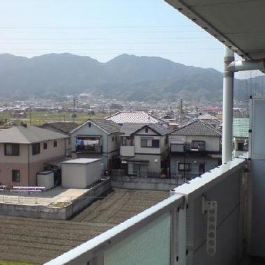 マンション ハトよけネット 設置前