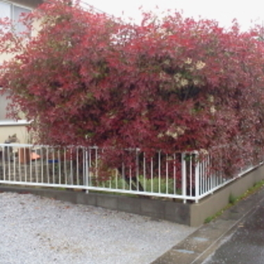 庭 リフォ-ム前2