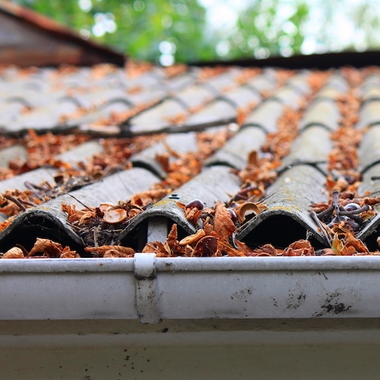 雨漏れ修繕（相談する）